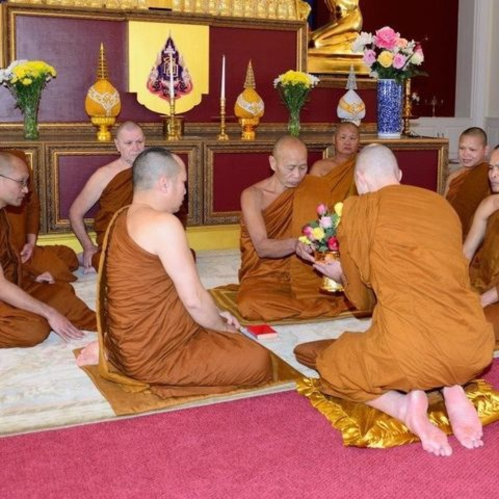 Meet your Posher, Carol